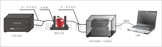 水果無損透射檢測(cè)方案示意圖