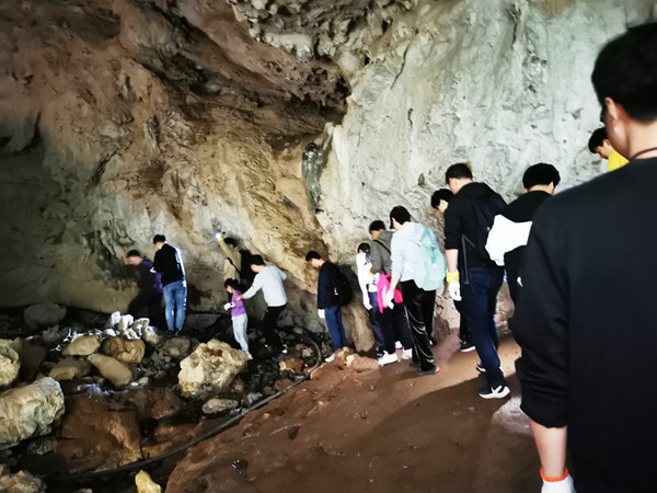 2021晶飛“百丈營地+紀龍山”團建活動(圖9) 2021晶飛“百丈營地+紀龍山”團建活動(圖9)